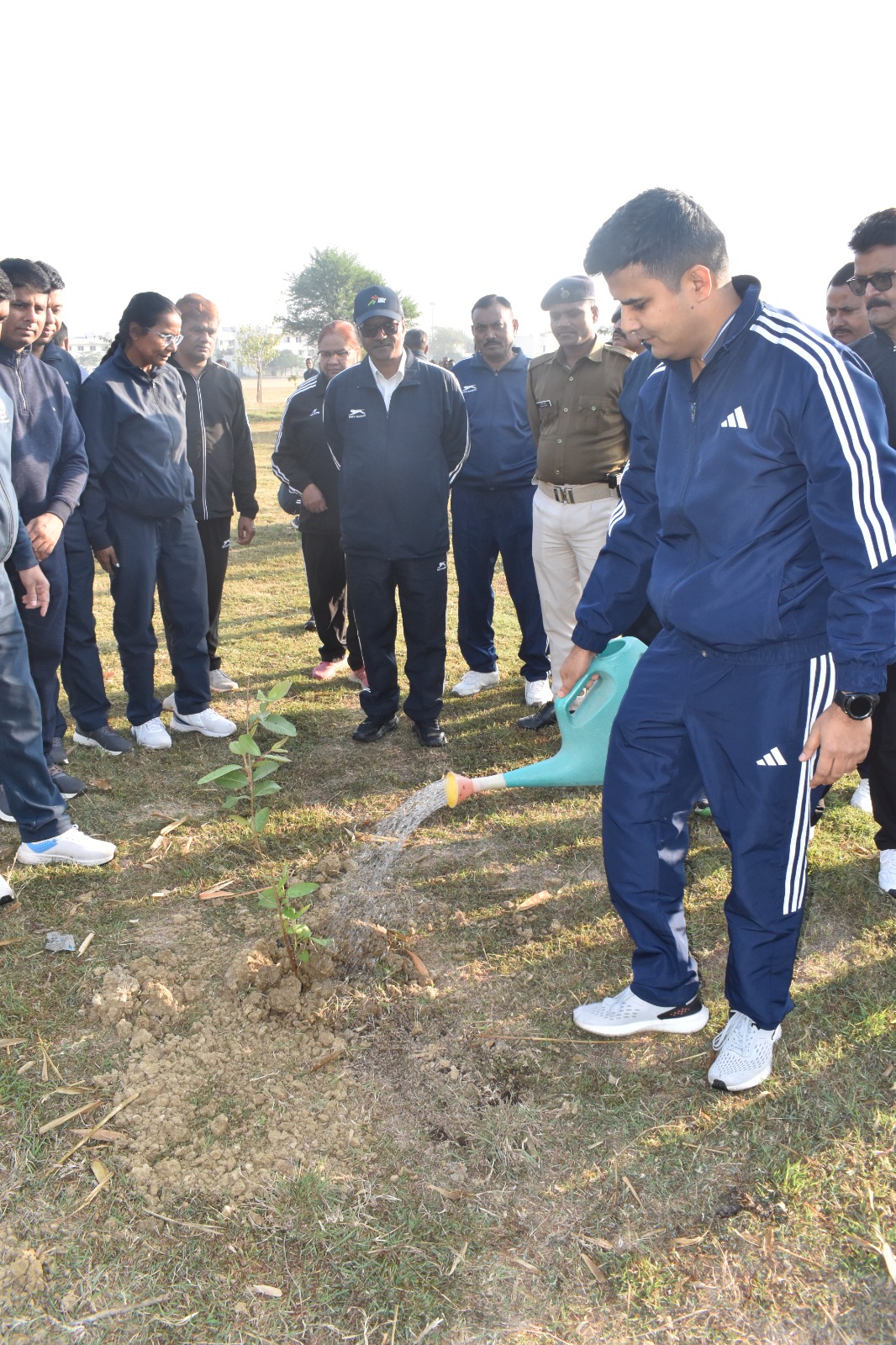 27 Feb Plantation